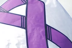 Domestic Violence Advocacy Project